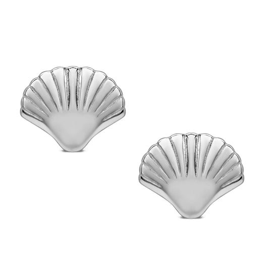 Sea Shell Stud Earrings In Sterling Silver