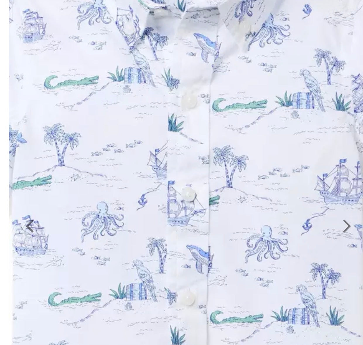The Poplin Shirt- White Pirate
