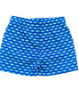 Saint Simons Swim Trunk- Baitfish Blue