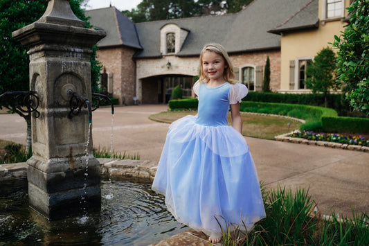 Cinderella Princess Dress