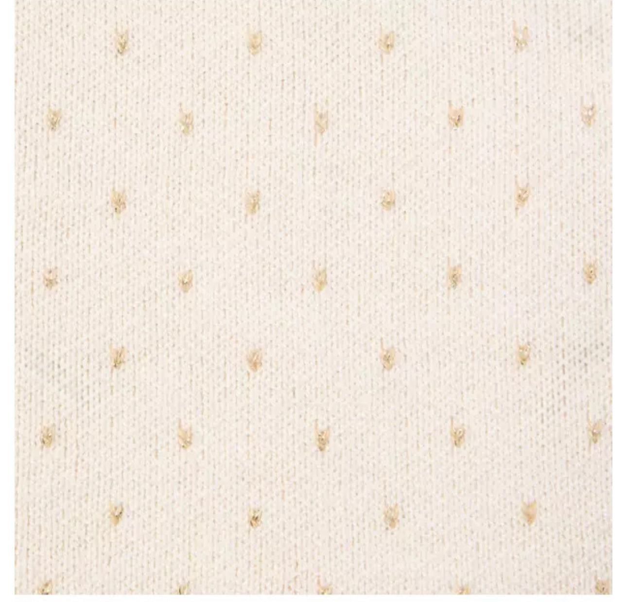 Sparkle Dot Sweater Skirt