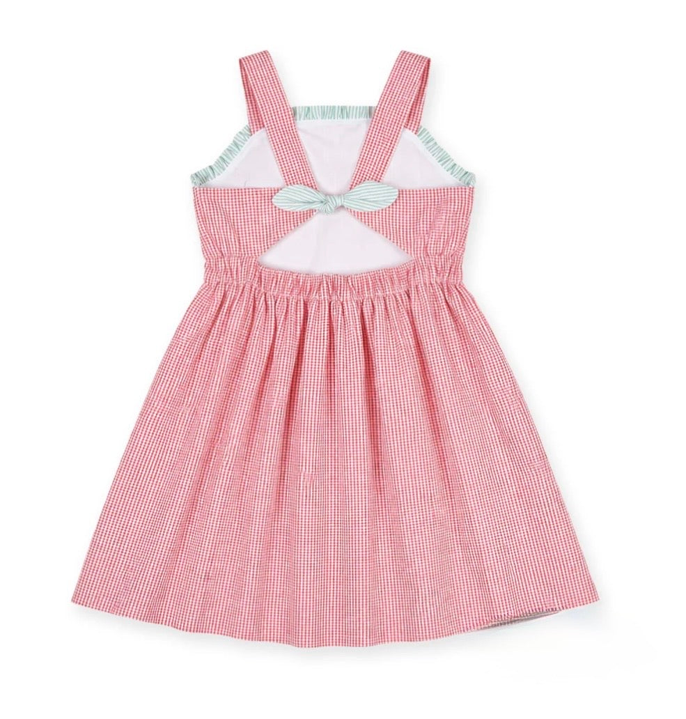 Check Seersucker Dress With Watermelon