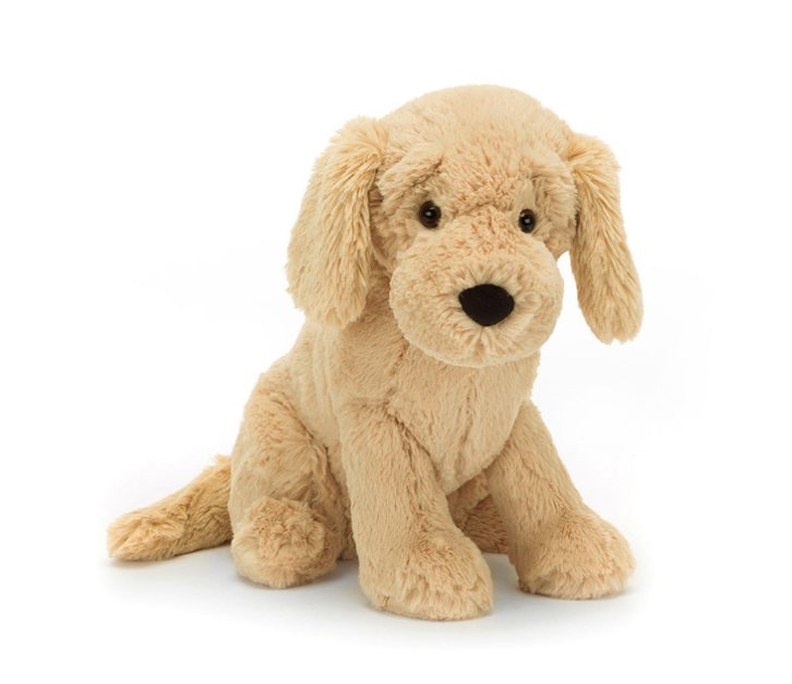 Tilly Golden Retriever