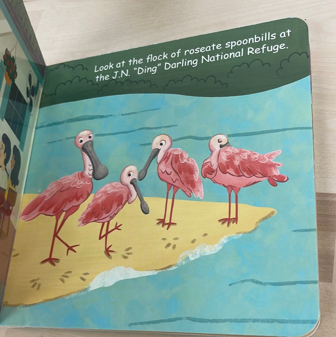 Good Night Fort Myers & Sanibel