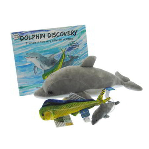 Dolphin Discovery