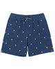 Feather 4 Arrow Board Shorts