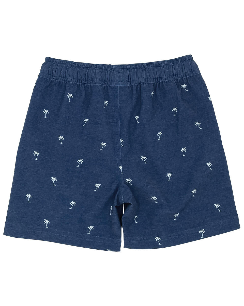 Feather 4 Arrow Board Shorts