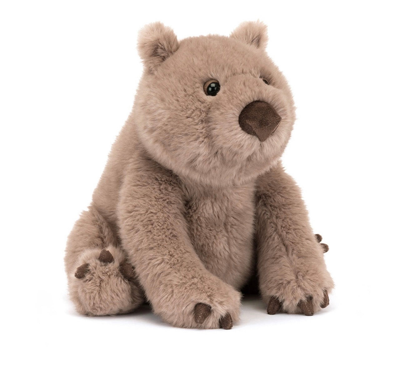 Wanda Wombat
