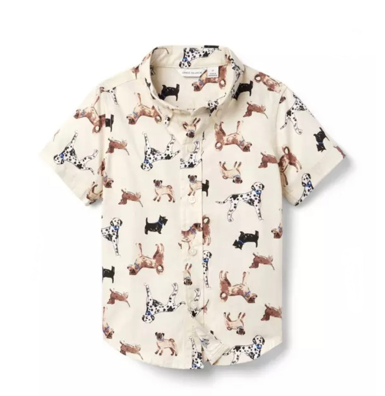 The Poplin Shirt Cream Dog