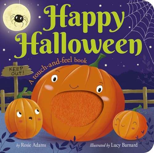 Happy Halloween A Touch and Feel Book