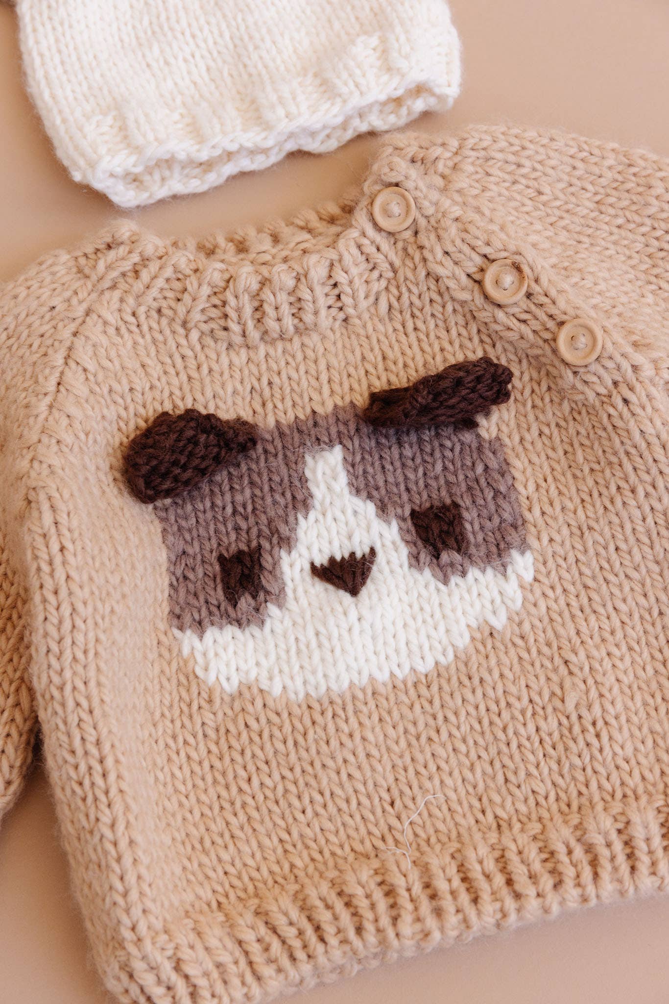 Puppy Sweater