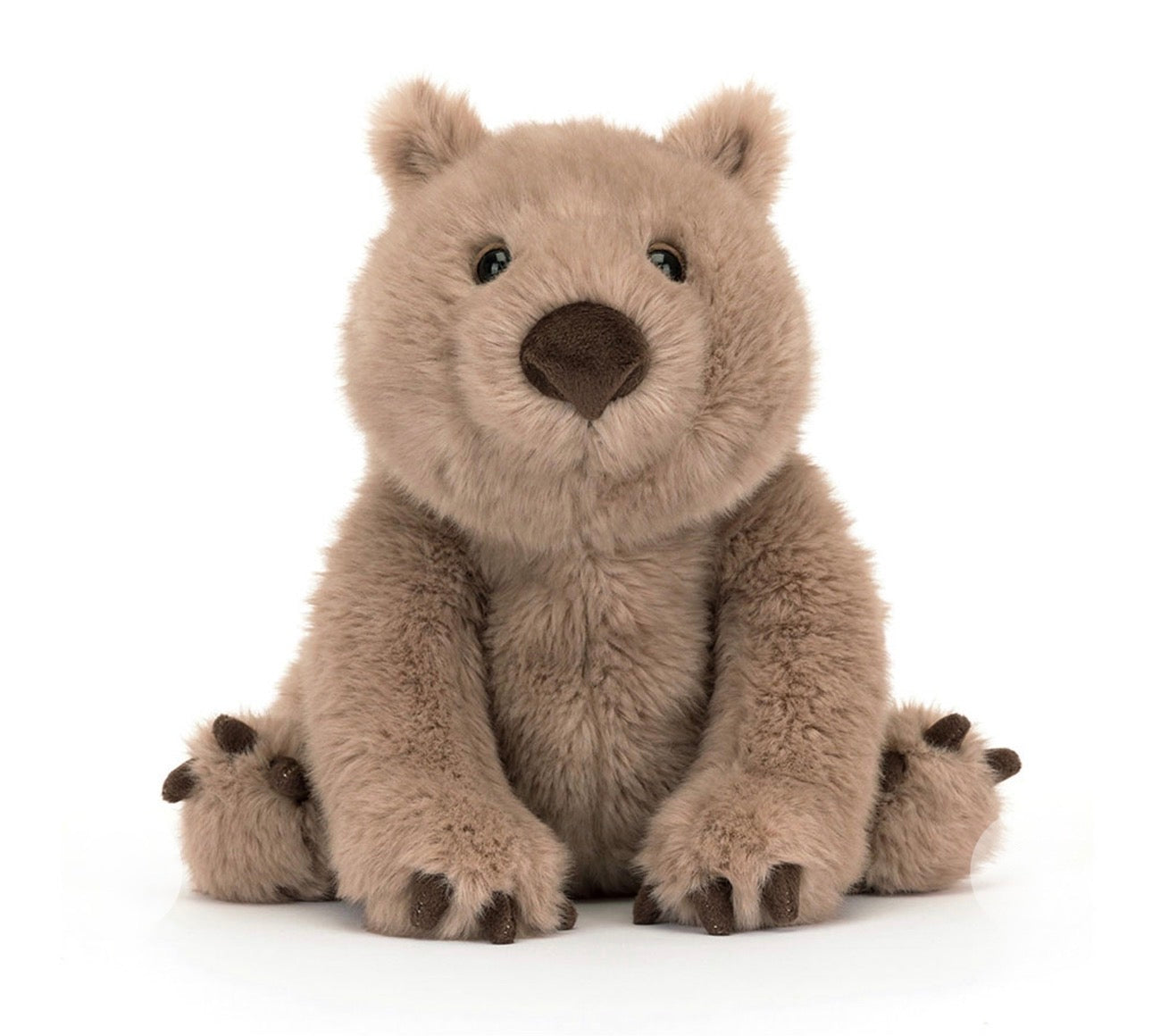 Wanda Wombat