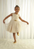 Sparkle Star Tulle Dress