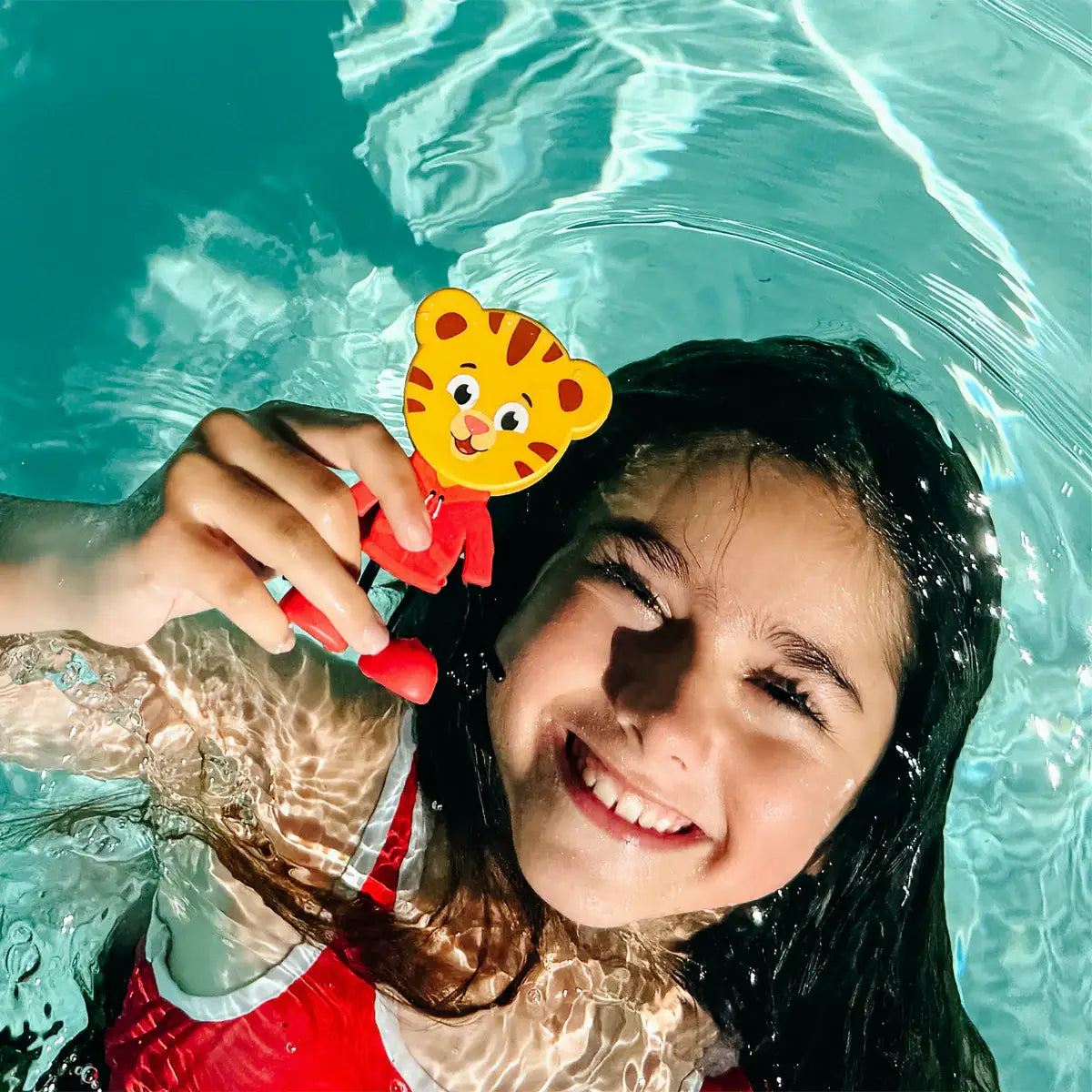 Daniel Tiger's Neighborhood Character