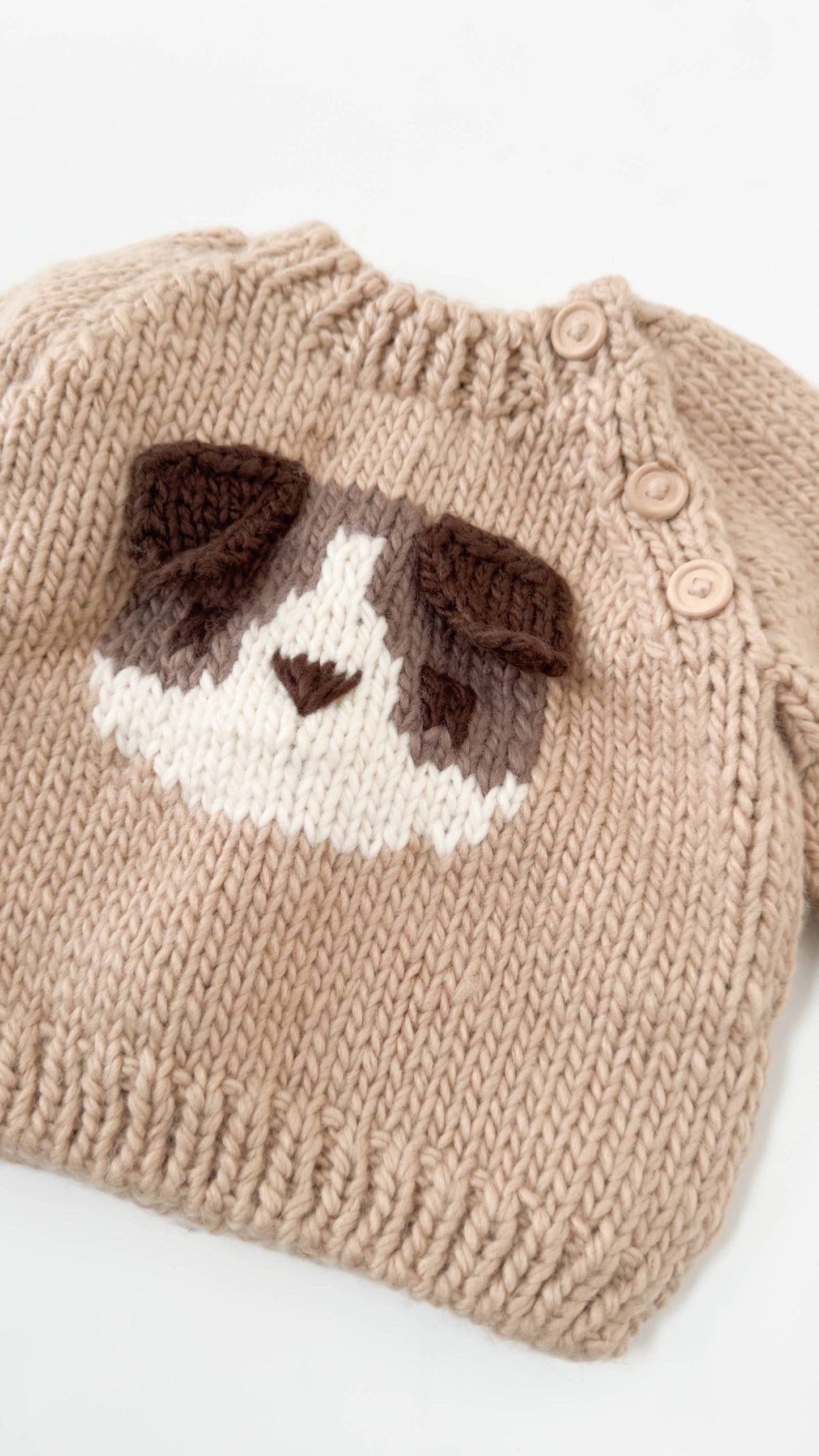 Puppy Sweater