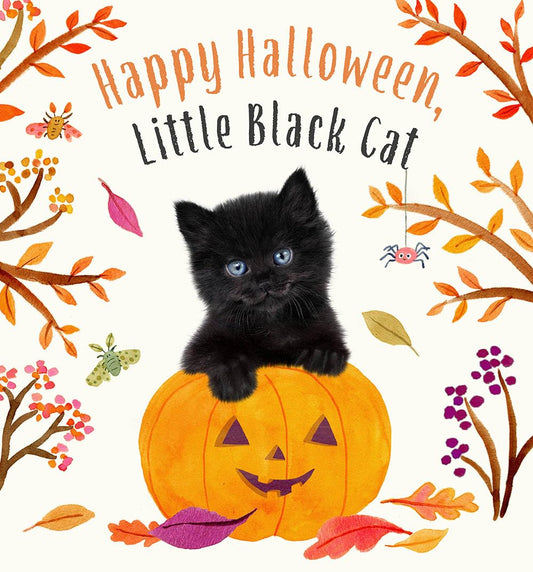 Happy Halloween Little Black Cat