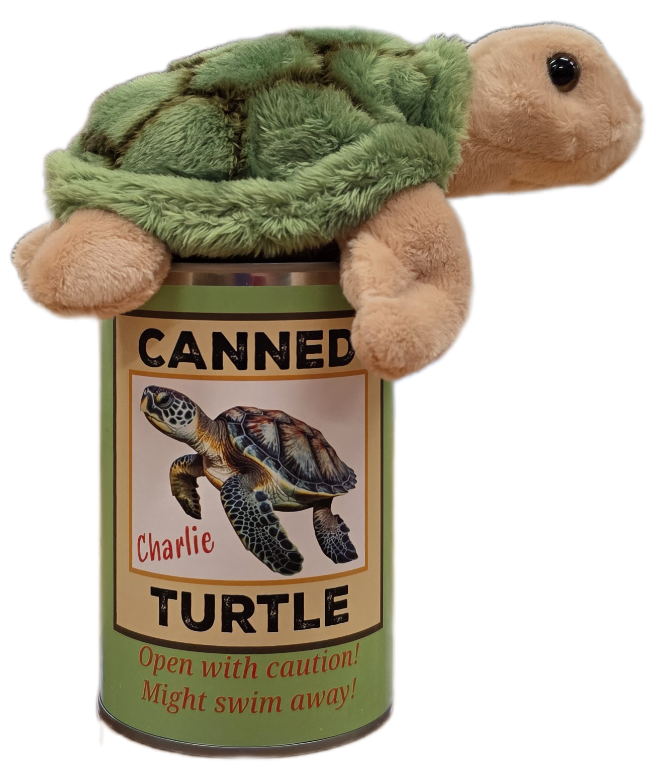 Canned Sea Turtle