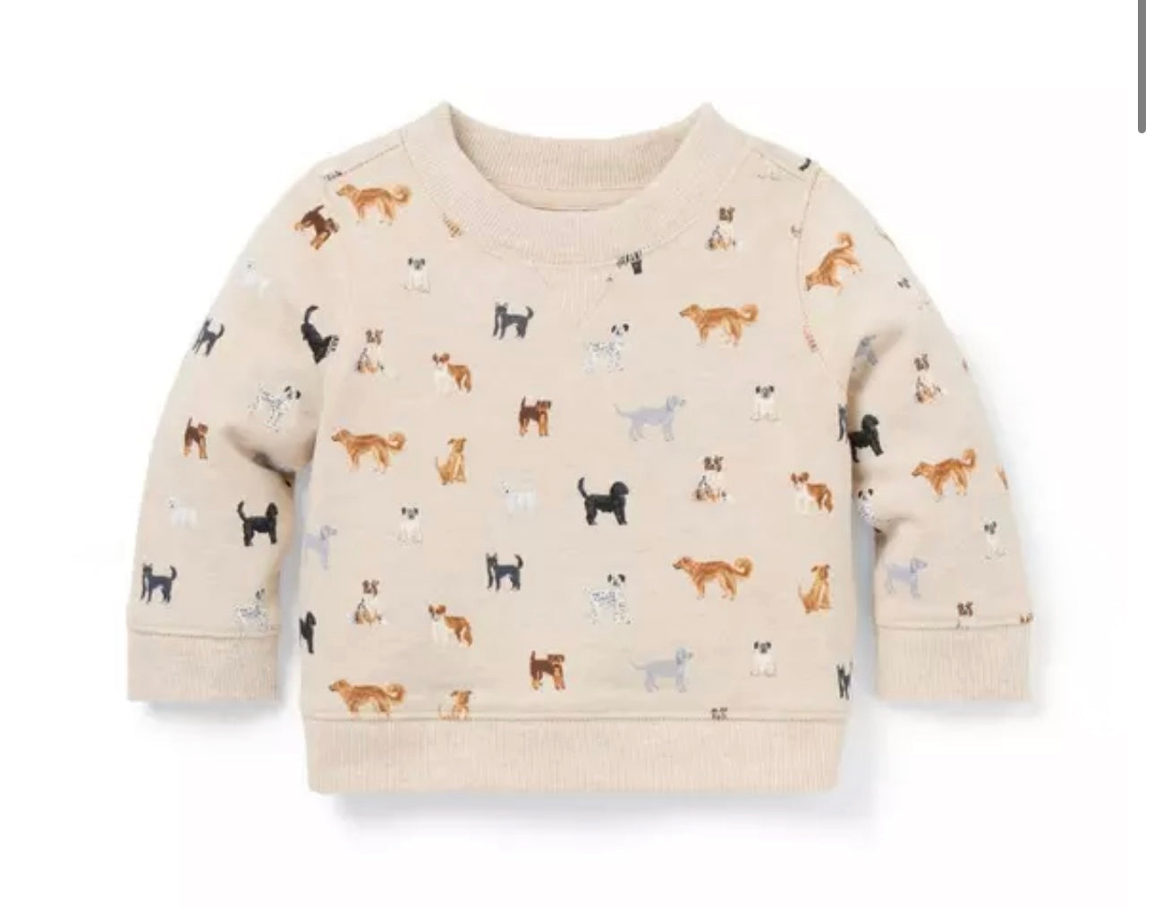 Baby Dog French Terry Sweatshirt