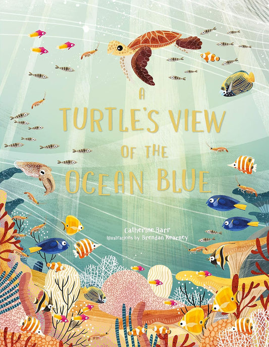 A Turtle's view of the Ocean