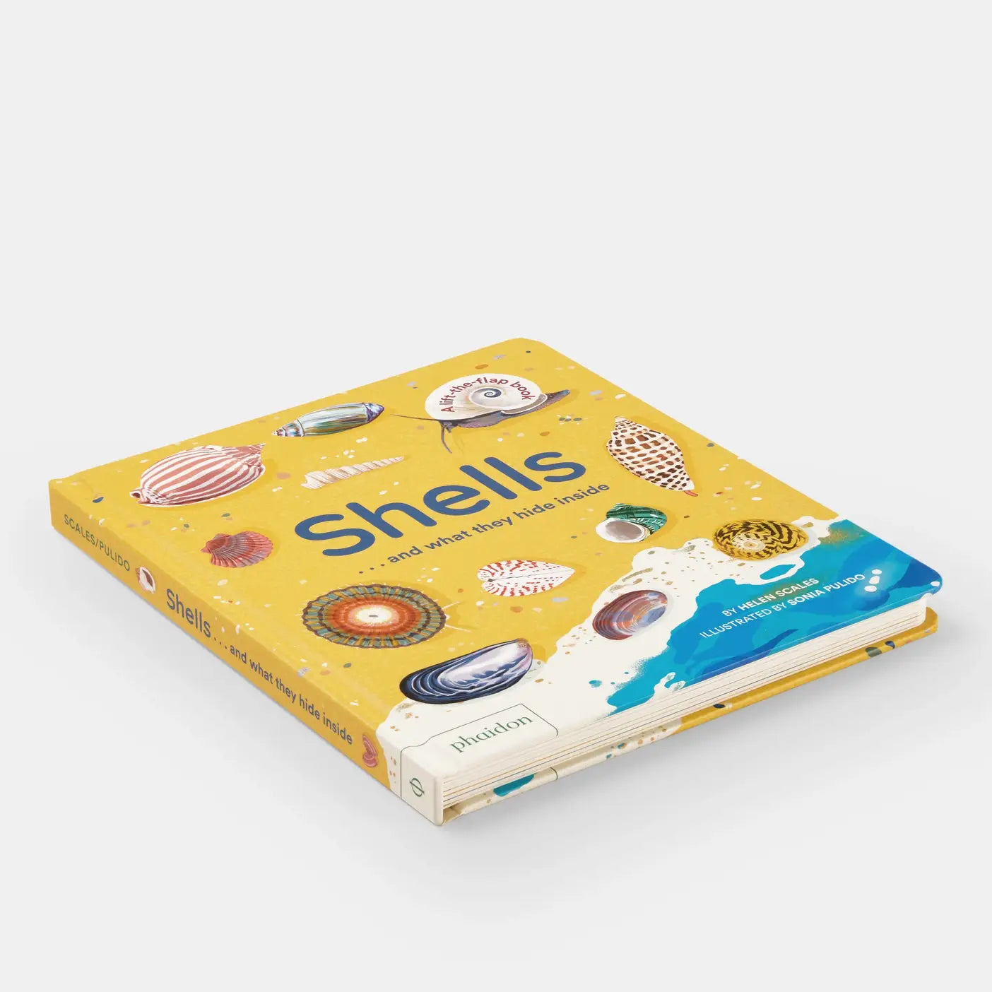 Shells... And What They Hide Inside