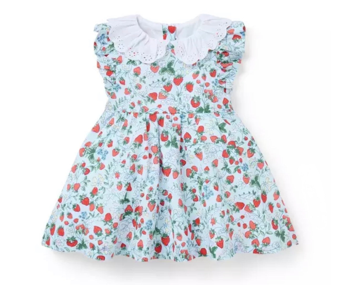 Strawberry Floral Dress