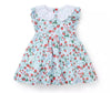 Strawberry Floral Dress