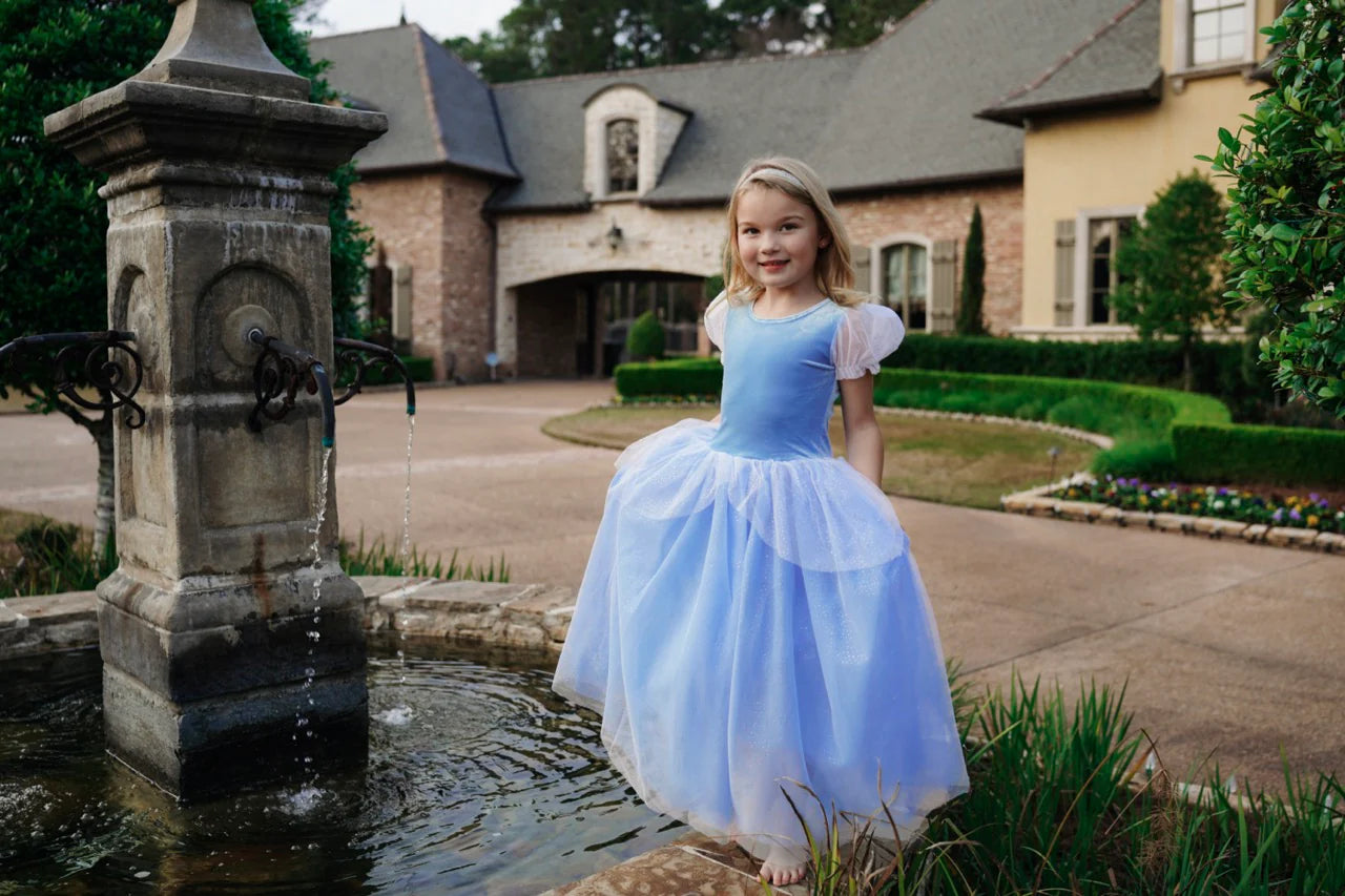 Cinderella Princess Dress