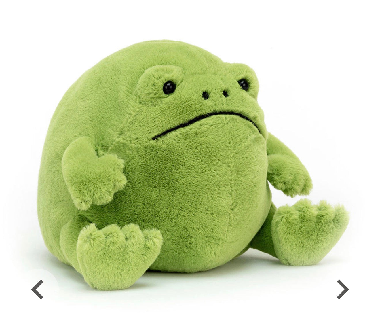 Ricky Rain Frog