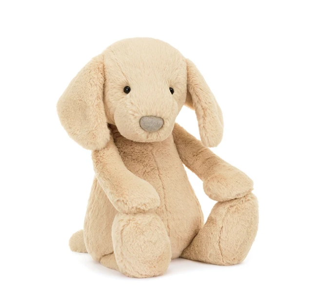 Bashful Luxe Puppy Orlando Big