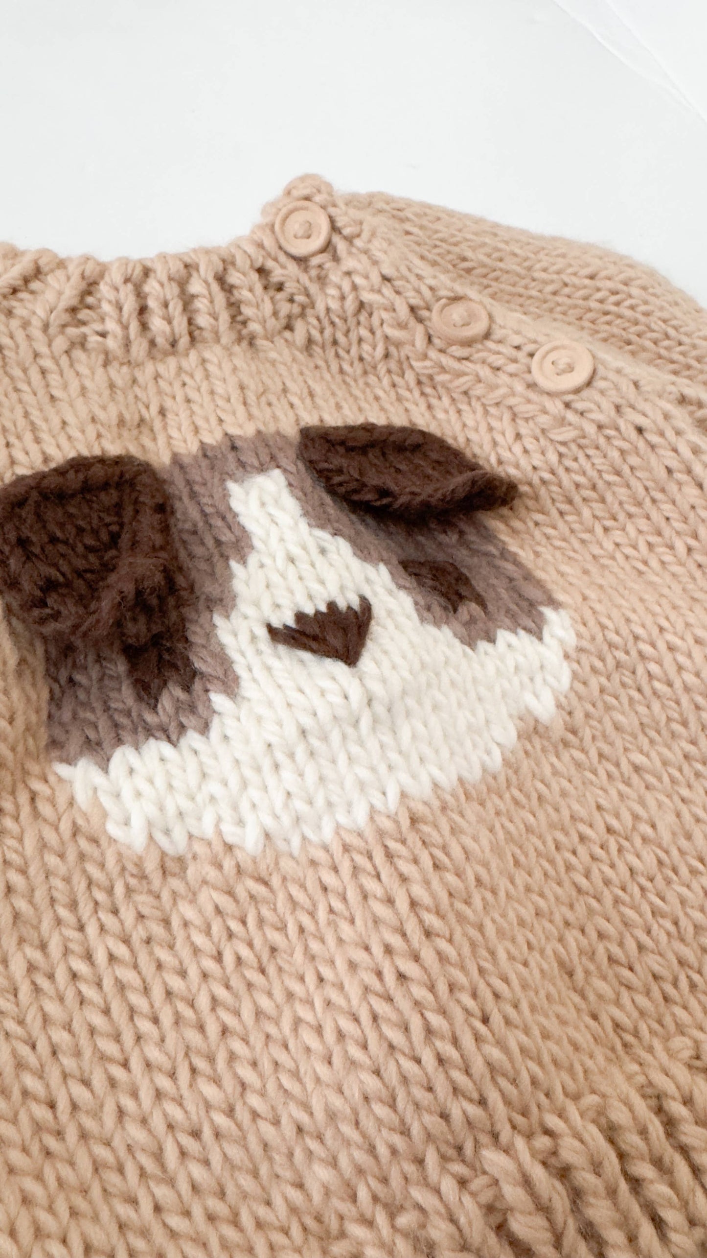 Puppy Sweater