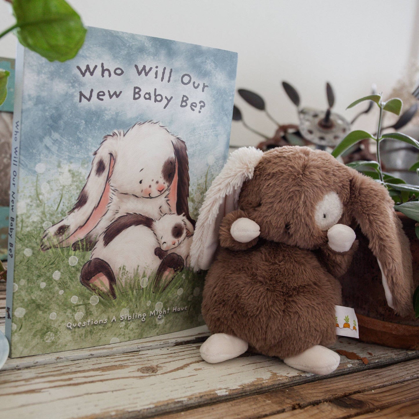 Who Will Our New Baby Be? Story Book