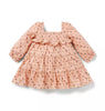 The Equestrian Smocked Baby Dress