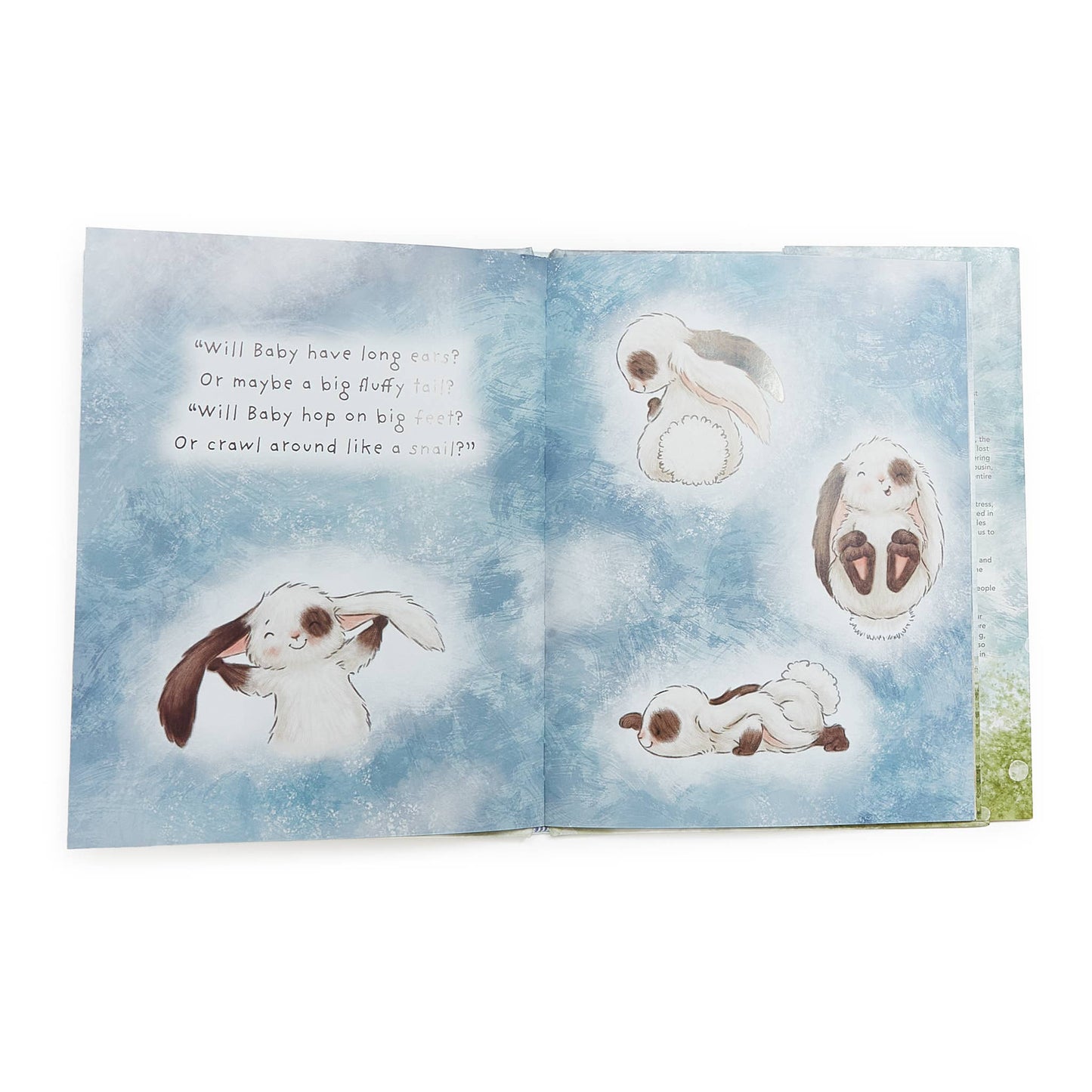 Who Will Our New Baby Be? Story Book