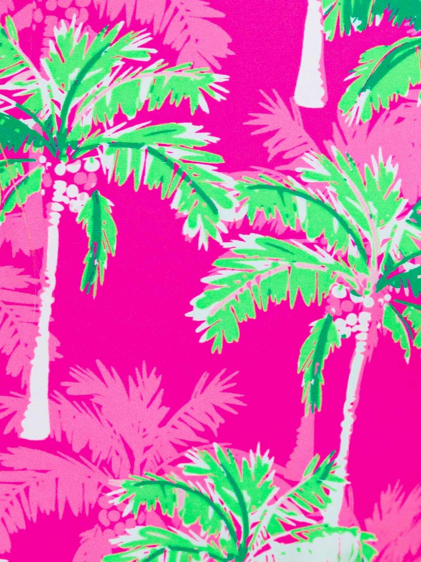 Palm Paradise Rash Guard 2-Piece