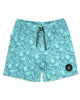 Feather 4 Arrow Peaks Boardshort