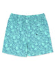 Feather 4 Arrow Peaks Boardshort