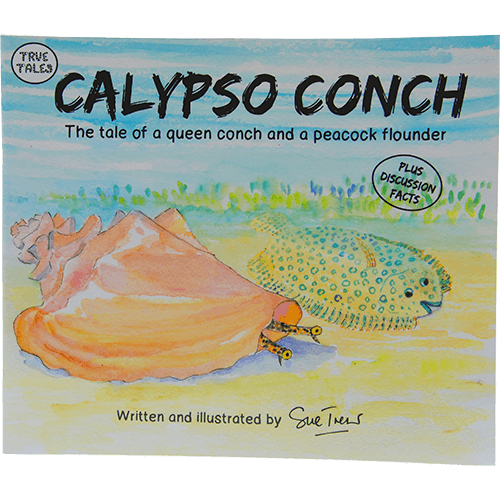 Orchid Creations "Calypso Conch" Book