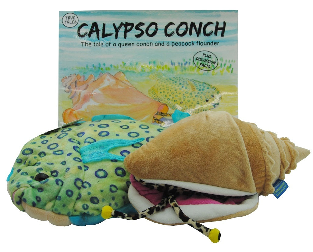 Orchid Creations "Calypso Conch" Book